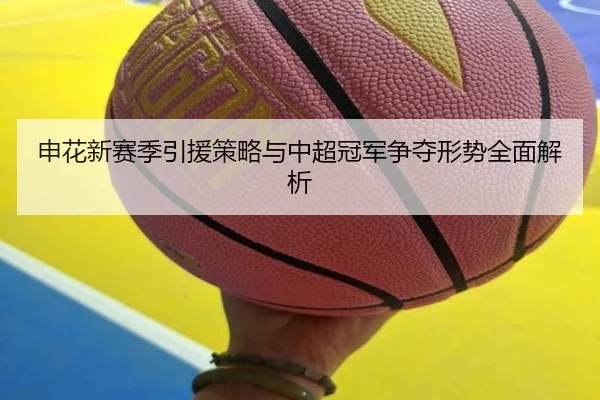 申花新赛季引援策略与中超冠军争夺形势全面解析 - 3377SPORTS